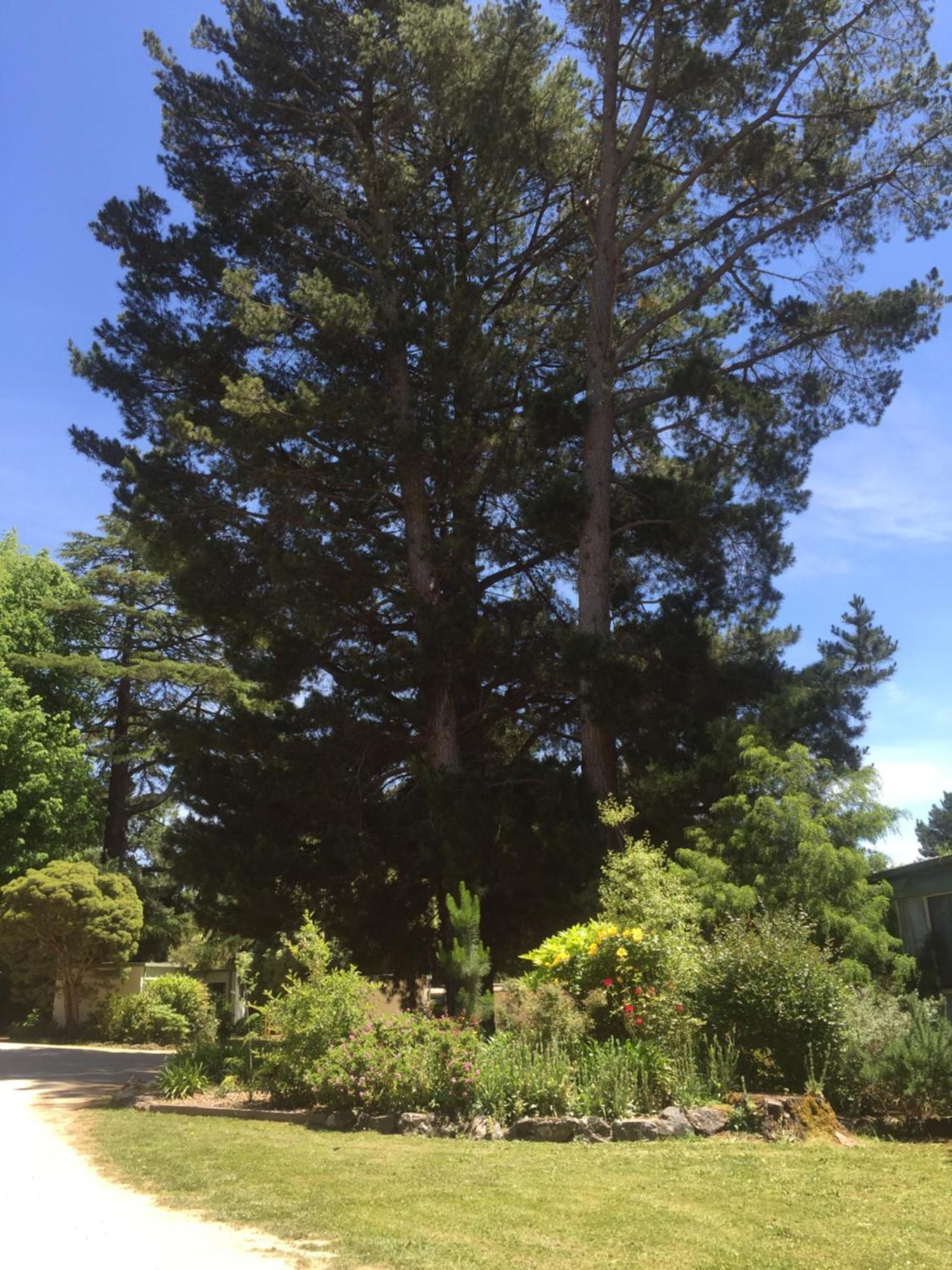 Daylesford Holiday Park Dış mekan fotoğraf